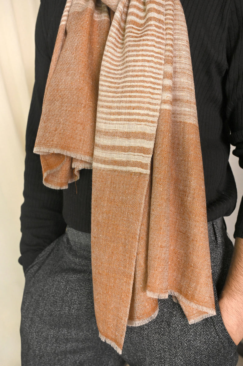 Winter Kashmir Pashmina Stoles