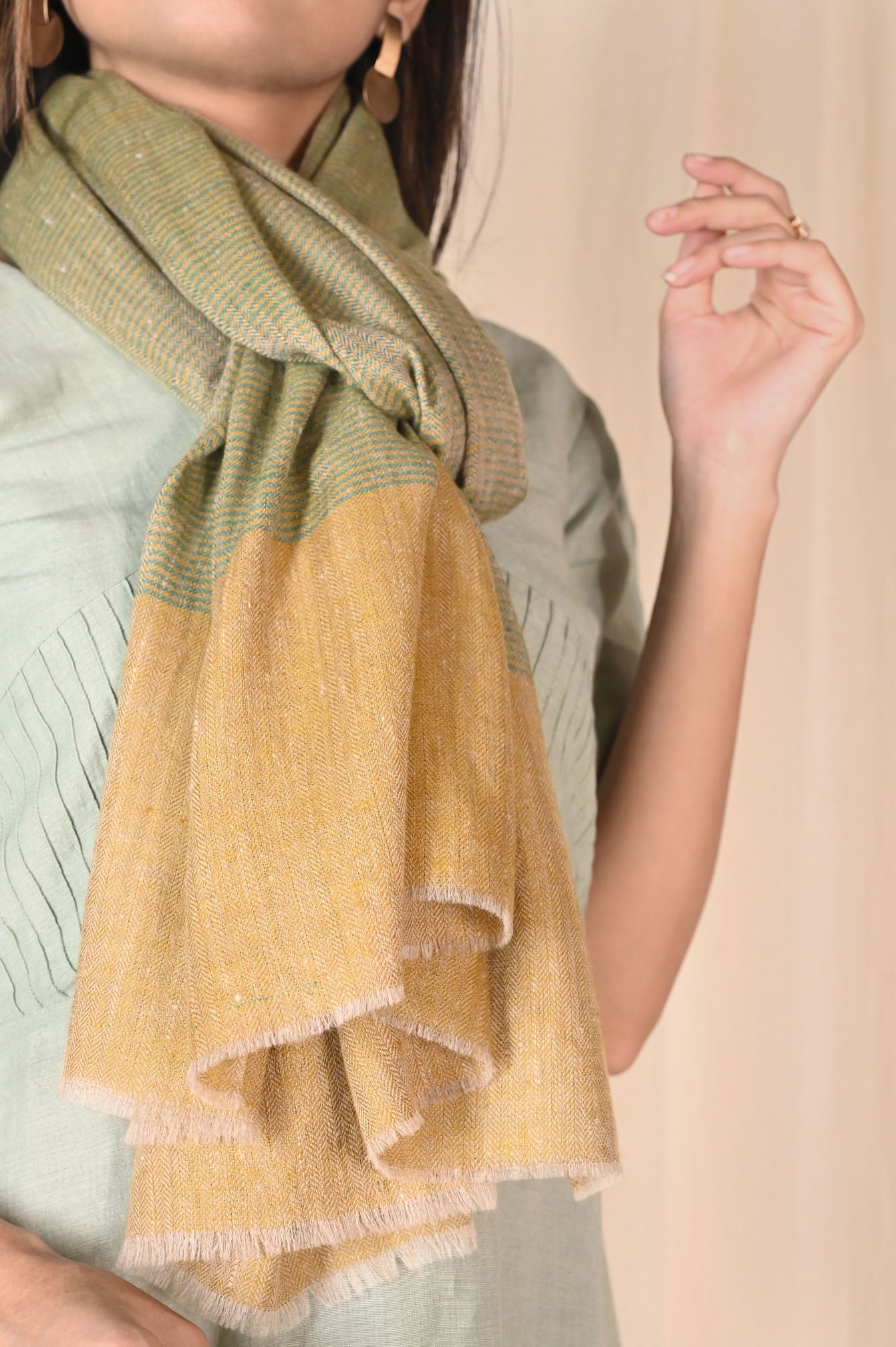 Winter Agersia Pashmina Stoles