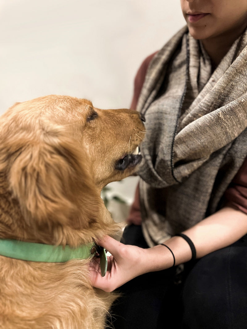 llamar Handwoven  Ghicha Silk Stole