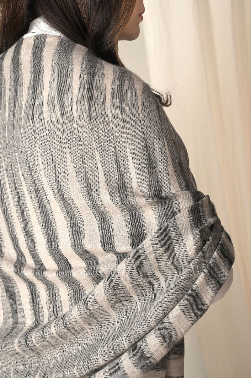 Winter Sila Pashmina Stoles